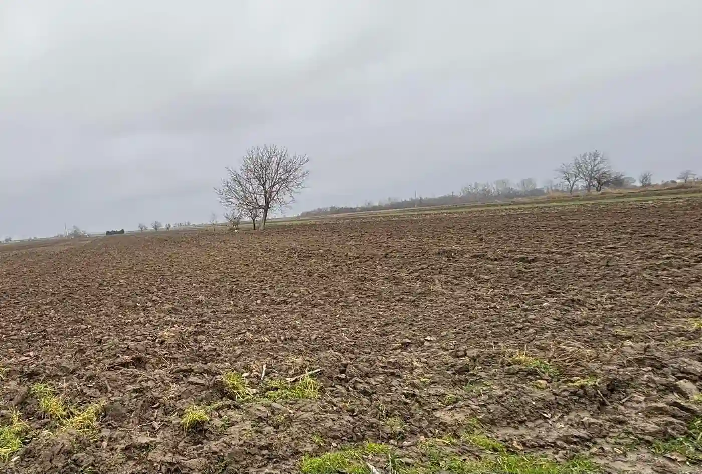 plac na prodaju Begeč 6502m2 532262