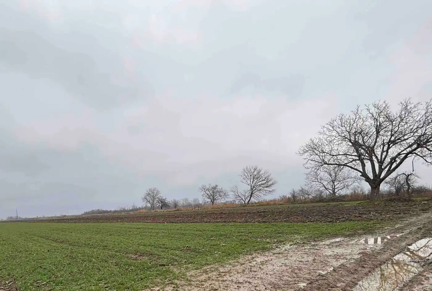 plac na prodaju Begeč 6502m2 532262