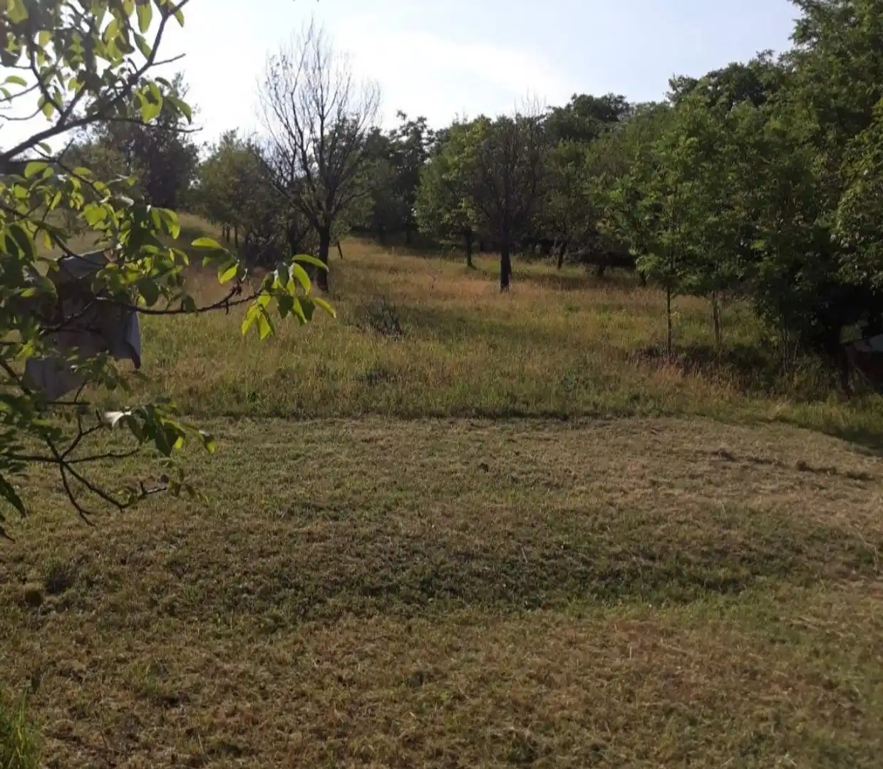 plac na prodaju Sremski Karlovci 2452m2 539599