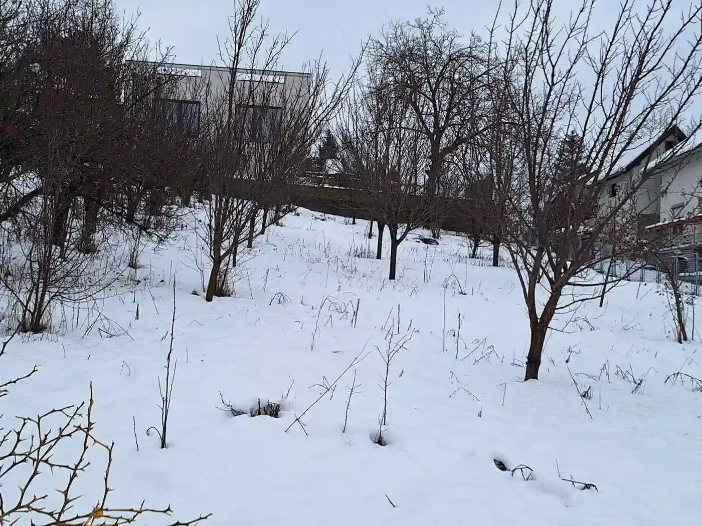 plac na prodaju Sremska Kamenica 1290m2 538063