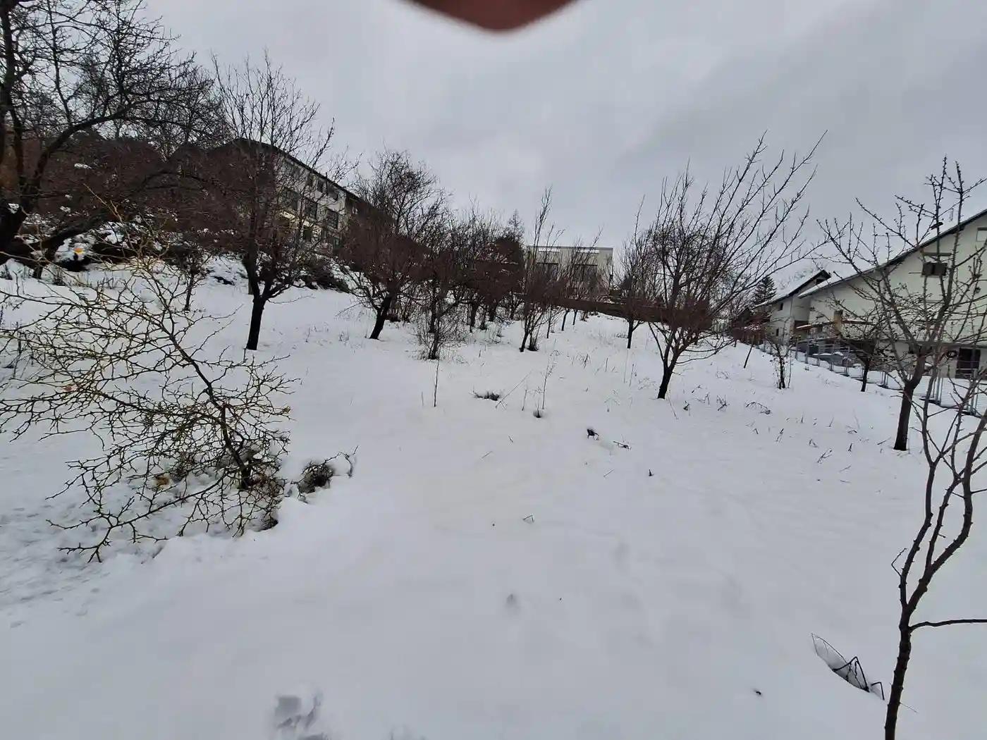 plac na prodaju Sremska Kamenica 1290m2 538063