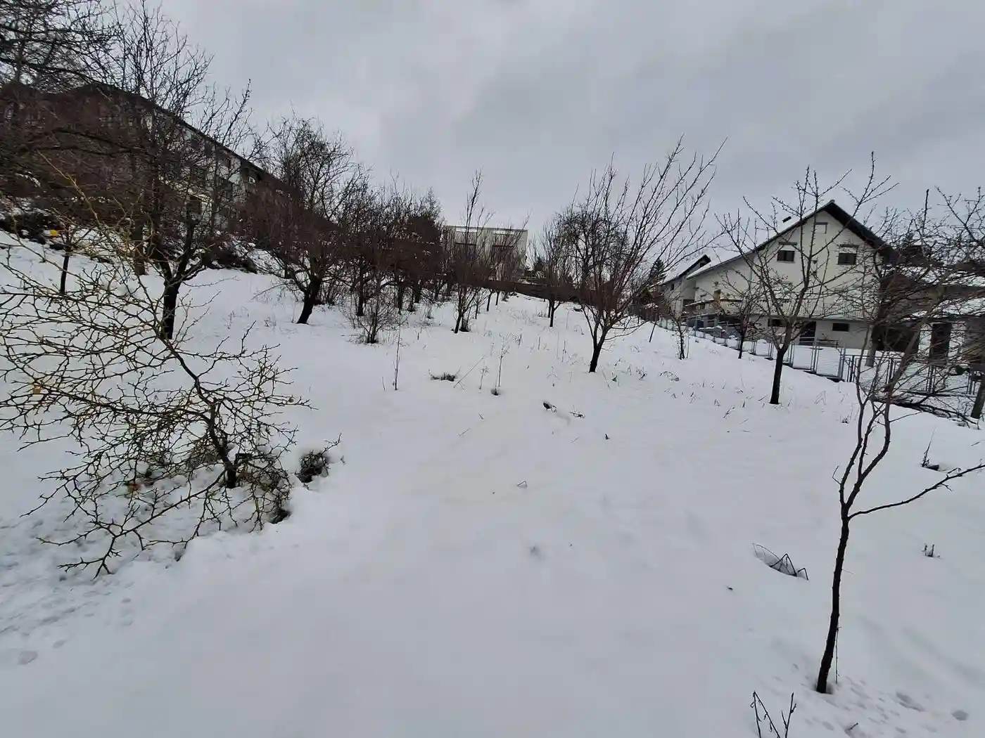 plac na prodaju Sremska Kamenica 1290m2 538063