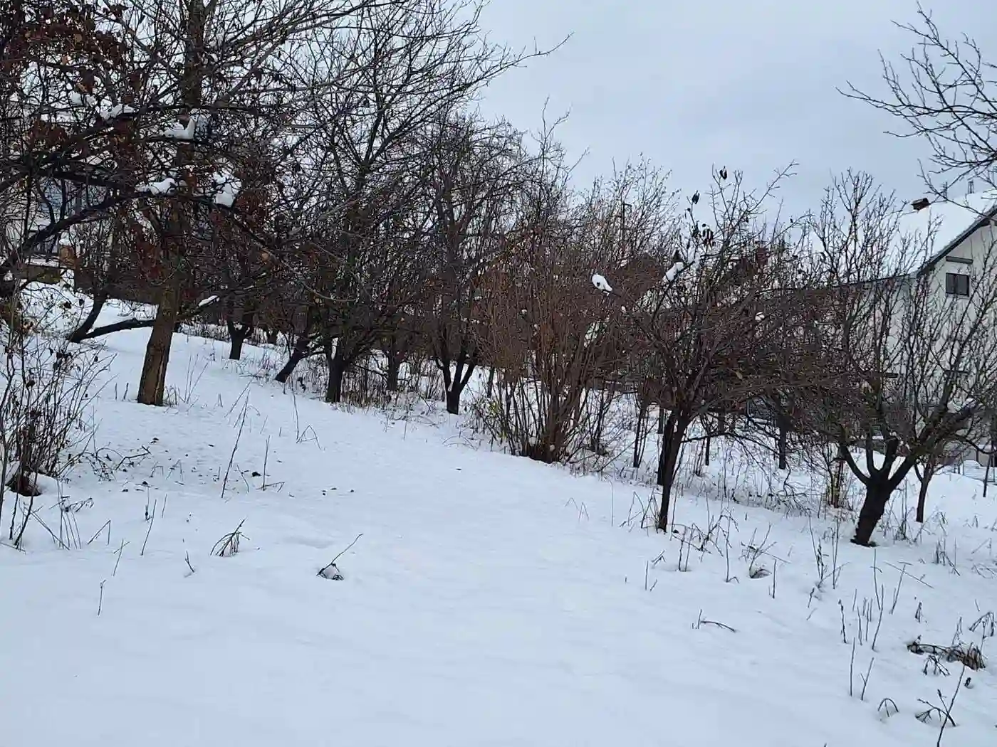 plac na prodaju Sremska Kamenica 1290m2 538063