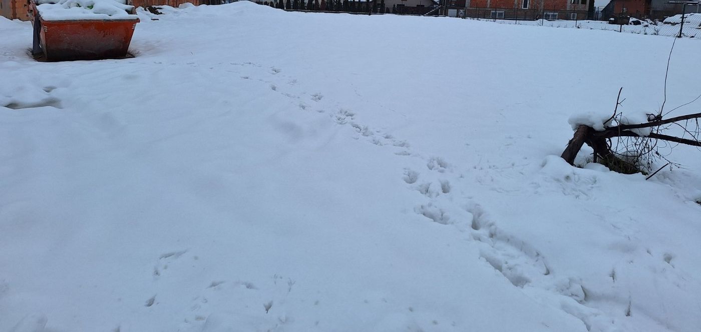 plac na prodaju Sremska Kamenica 800m2 538248