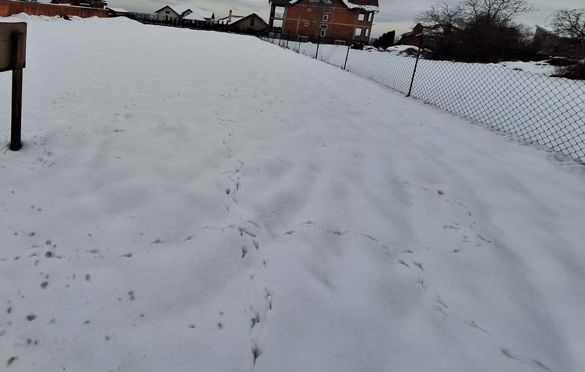 plac na prodaju Sremska Kamenica 800m2 538248