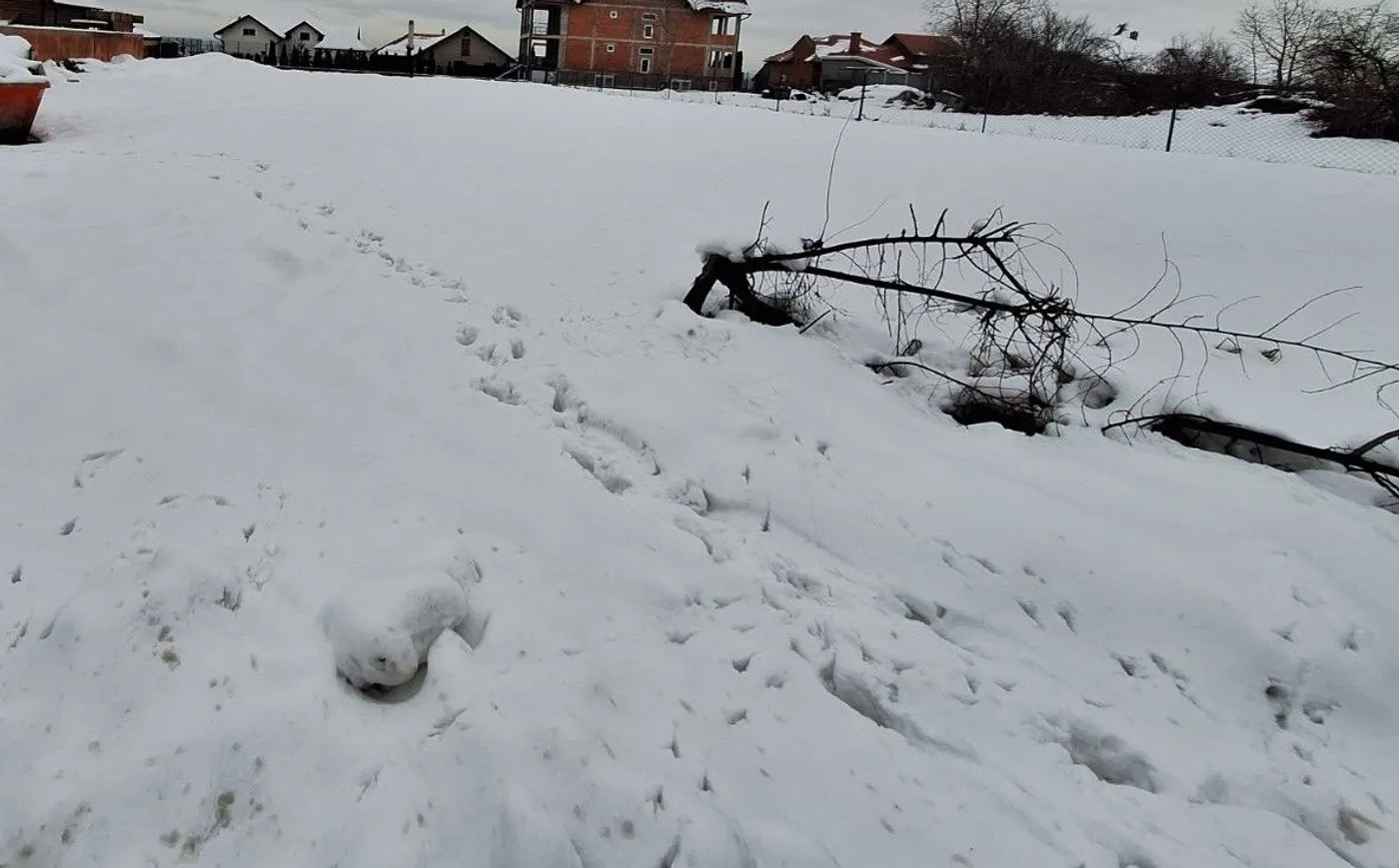 plac na prodaju Sremska Kamenica 800m2 538248