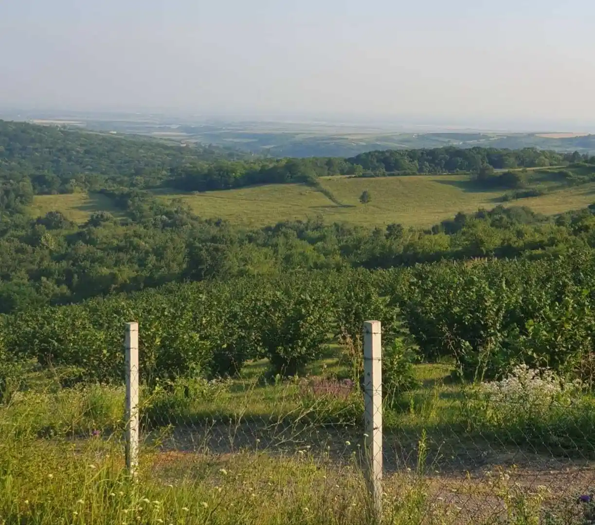 plac na prodaju Vrdnik, 5350m2 540217