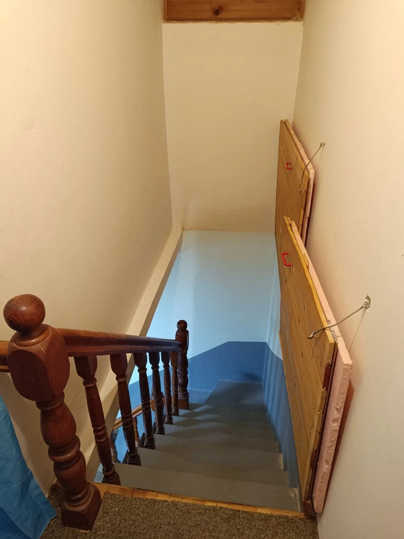 kuca na prodaju Rakovac 54m2 538746