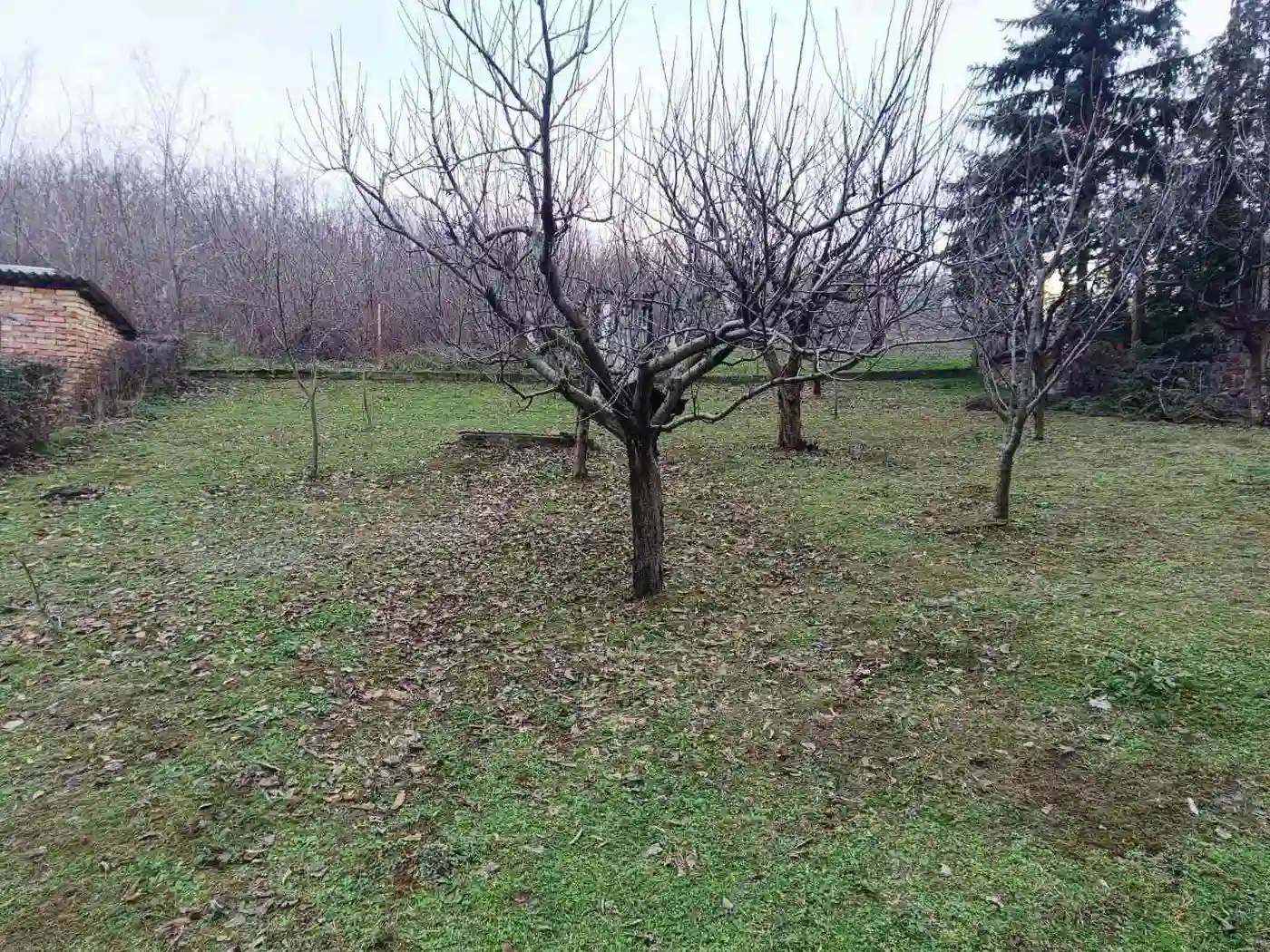 kuca na prodaju Rakovac 54m2 538746