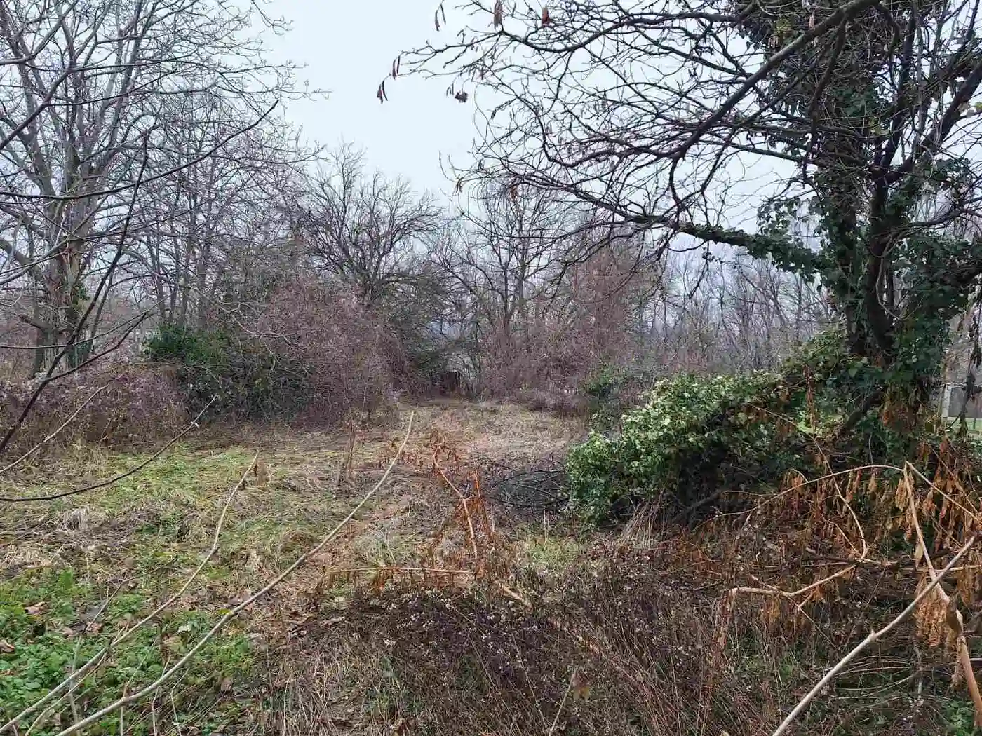 kuca na prodaju Sremska Kamenica 75m2 540706
