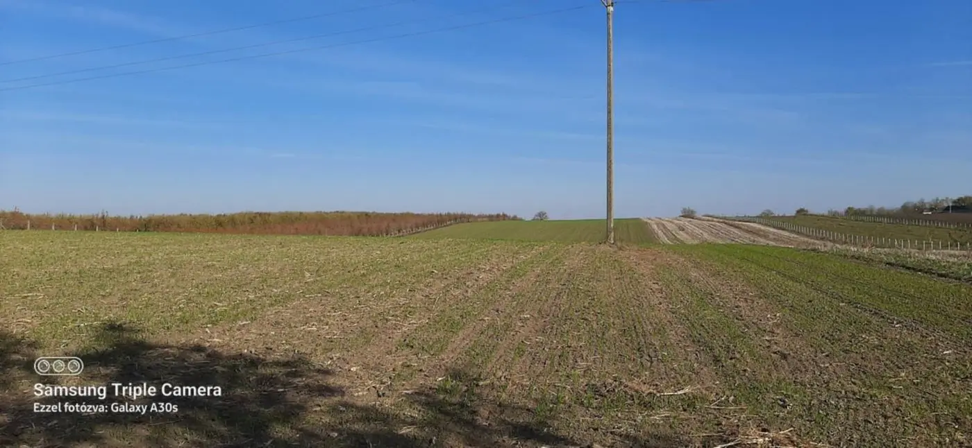 plac na prodaju Mali Iđoš 25881m2 536711