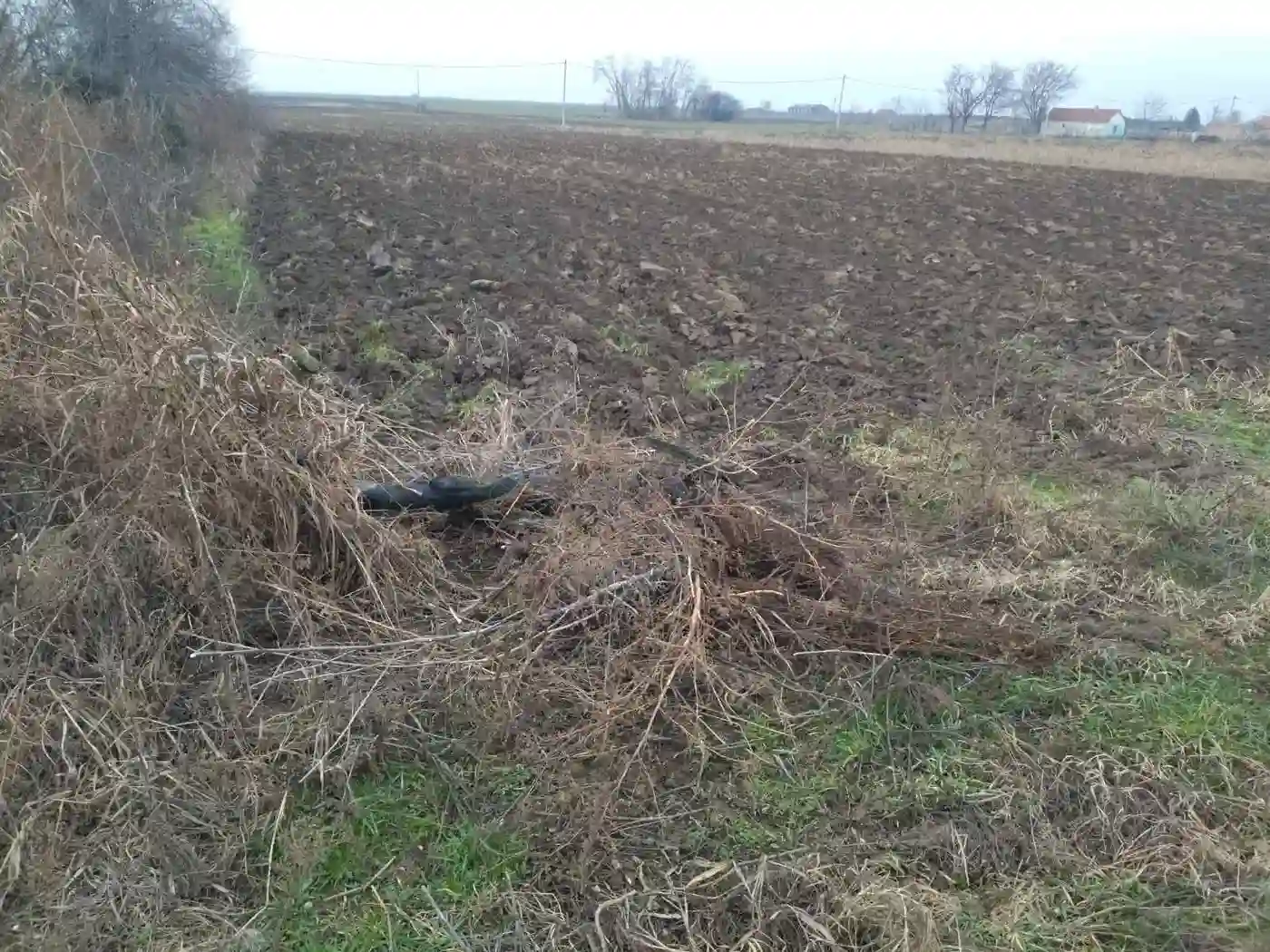 kuca na prodaju Bačka Palanka 86m2 540869