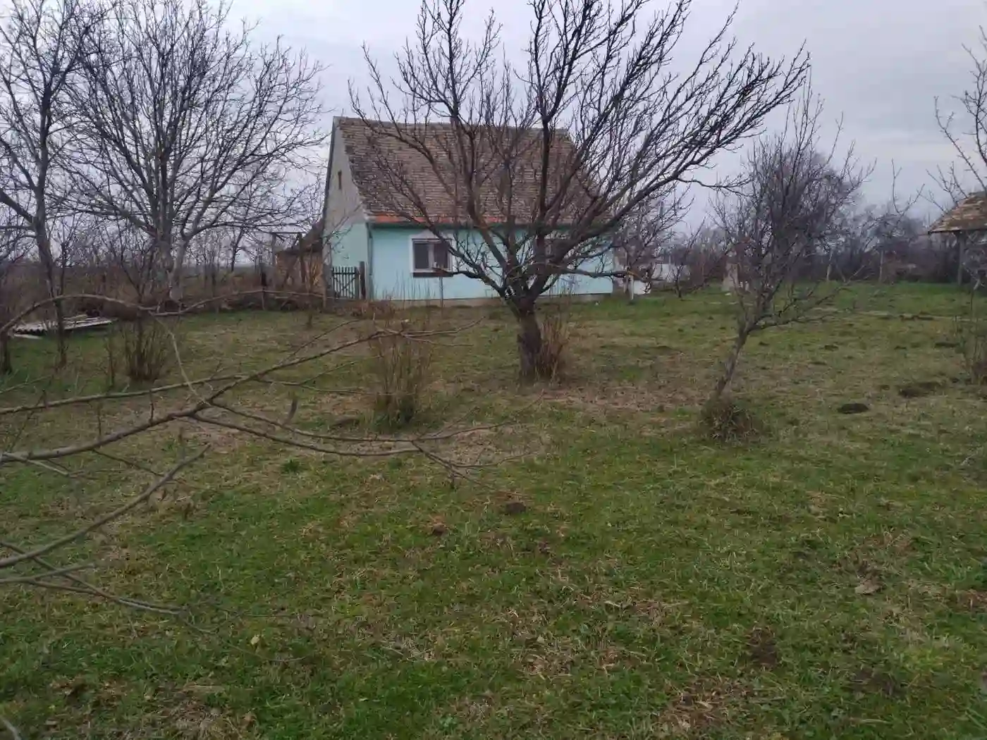 kuca na prodaju Bačka Palanka 86m2 540869