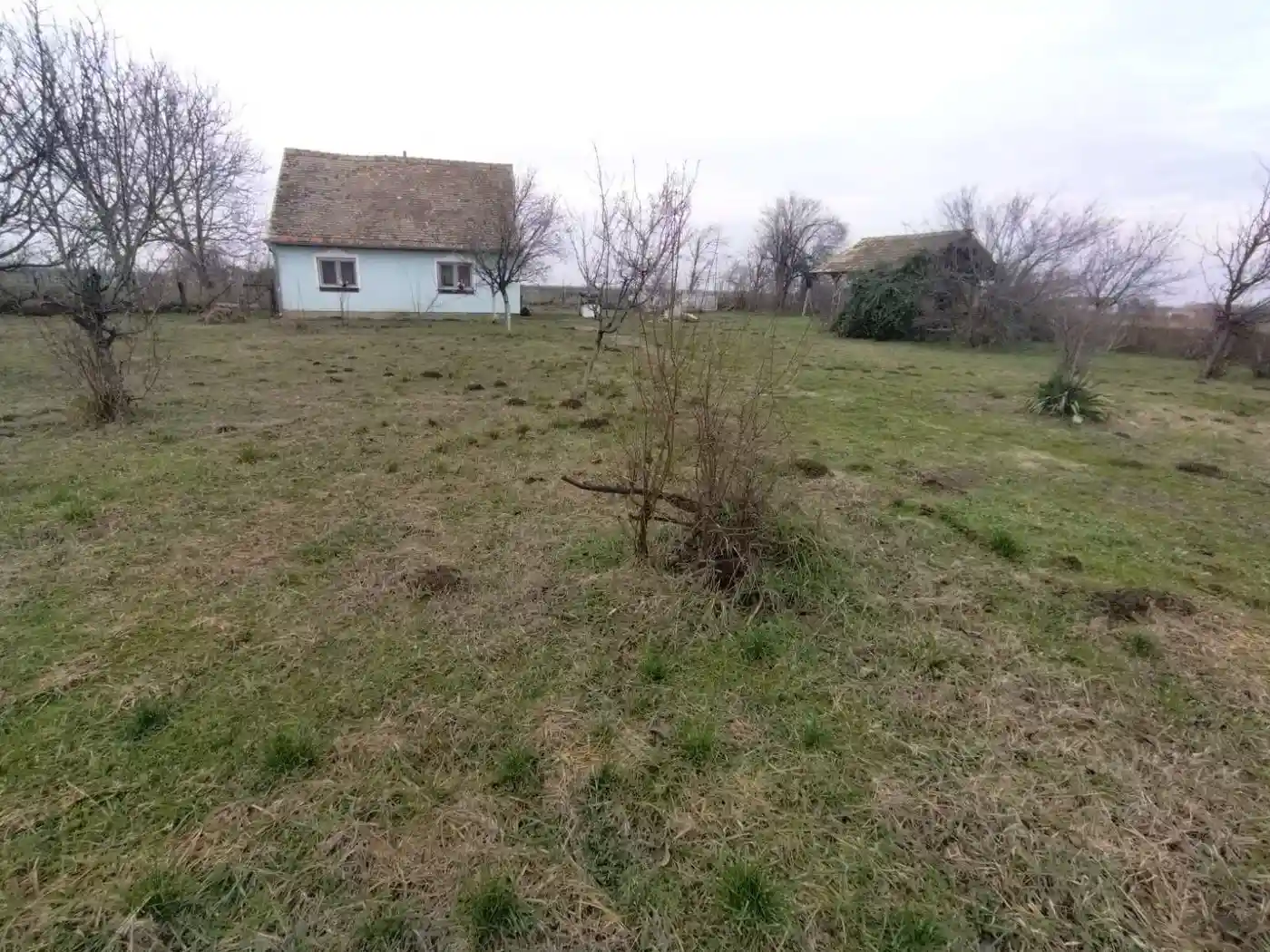 kuca na prodaju Bačka Palanka 86m2 540869