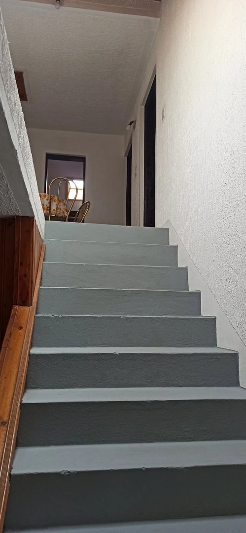 kuca na prodaju Jazak, 278m2 540930