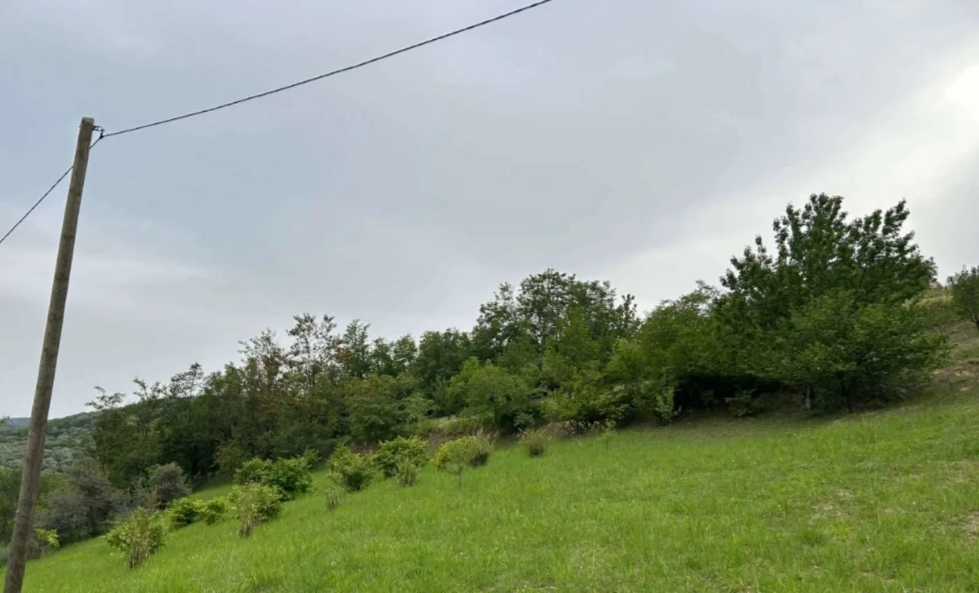 plac na prodaju Rakovac 3817m2 541369