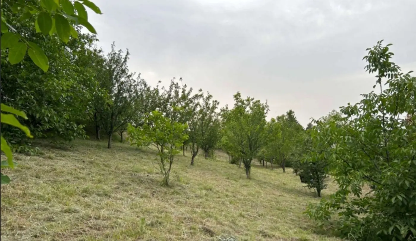 plac na prodaju Rakovac, 3817m2 541369