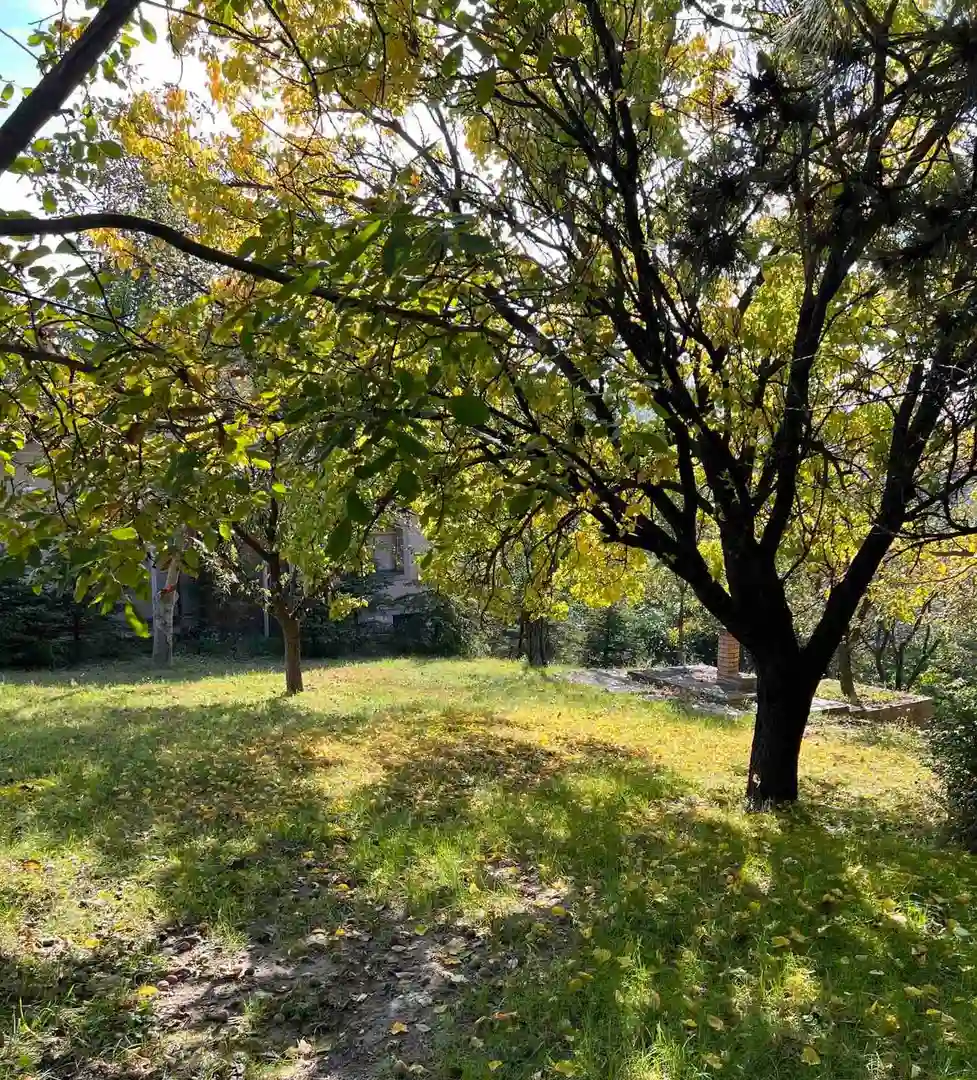 plac na prodaju Sremska Kamenica 3774m2 541396