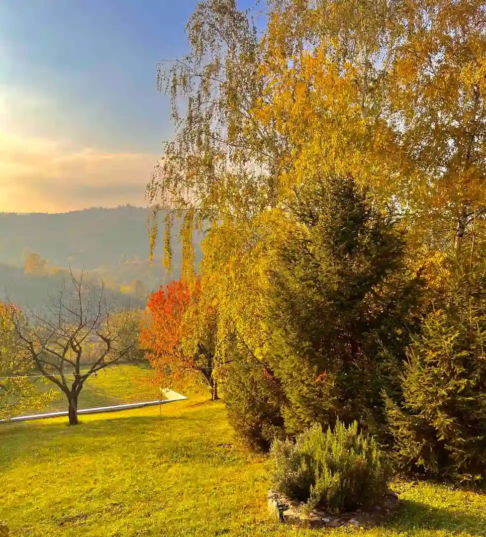 plac na prodaju Sremska Kamenica, 3774m2 541396