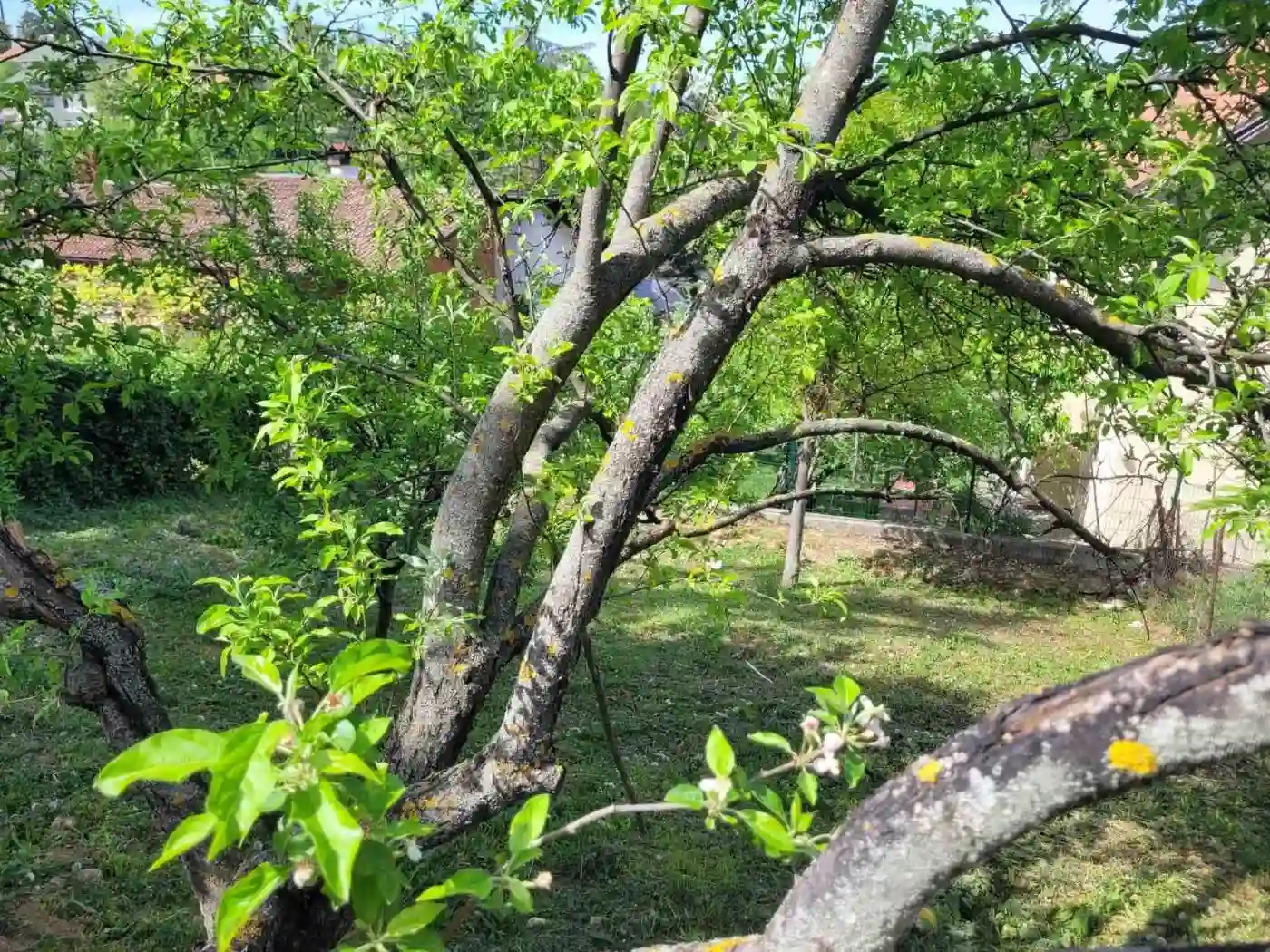kuca na prodaju Sremska Kamenica 264m2 526983