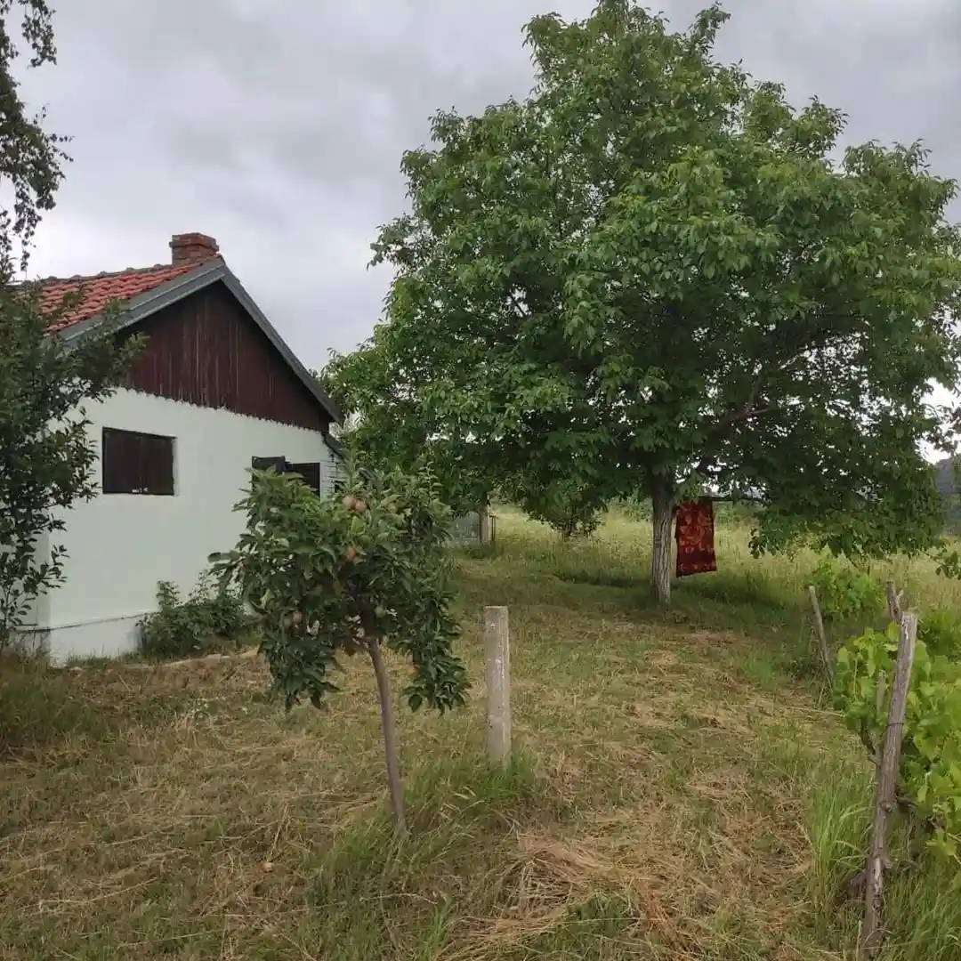 plac na prodaju Čerević 1589m2 541778