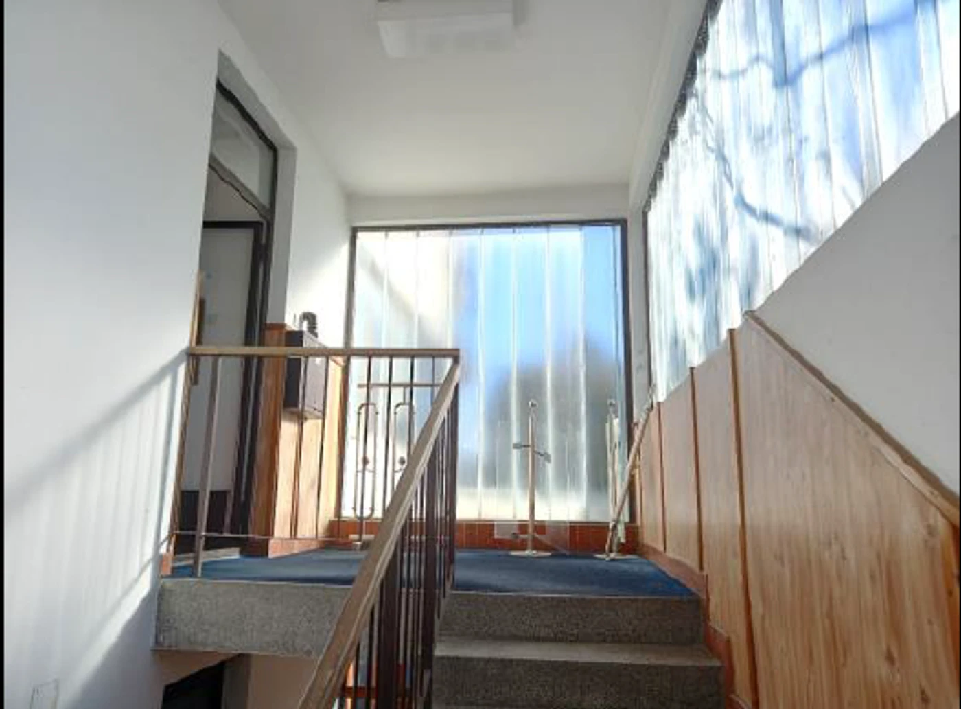 lokal na prodaju Bački Petrovac 41735m2 565411