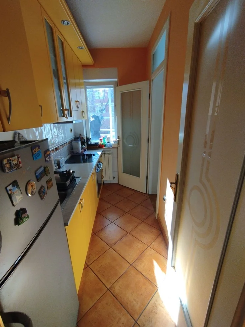 stan na prodaju Novi Sad 77m2 543055