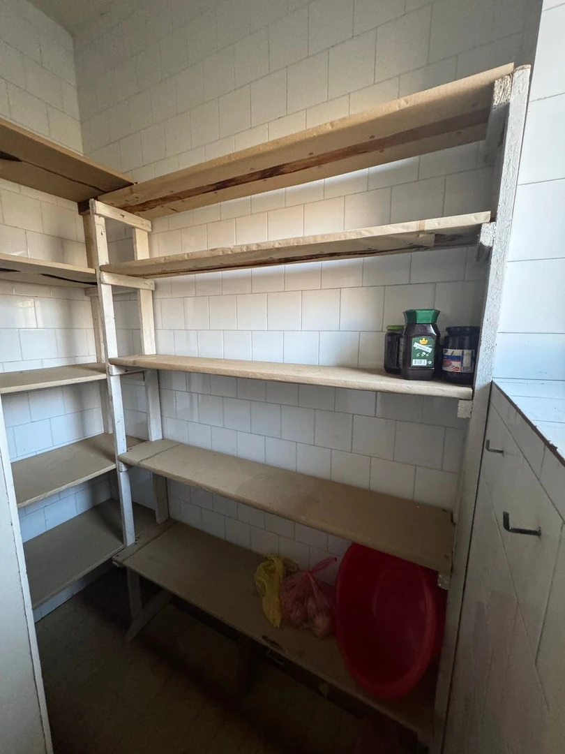 stan na prodaju Novi Sad 152m2 543072