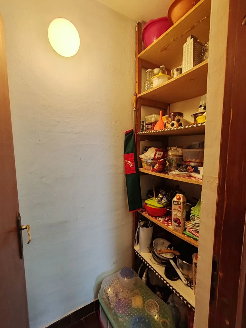 stan na prodaju Novi Sad 50m2 543792