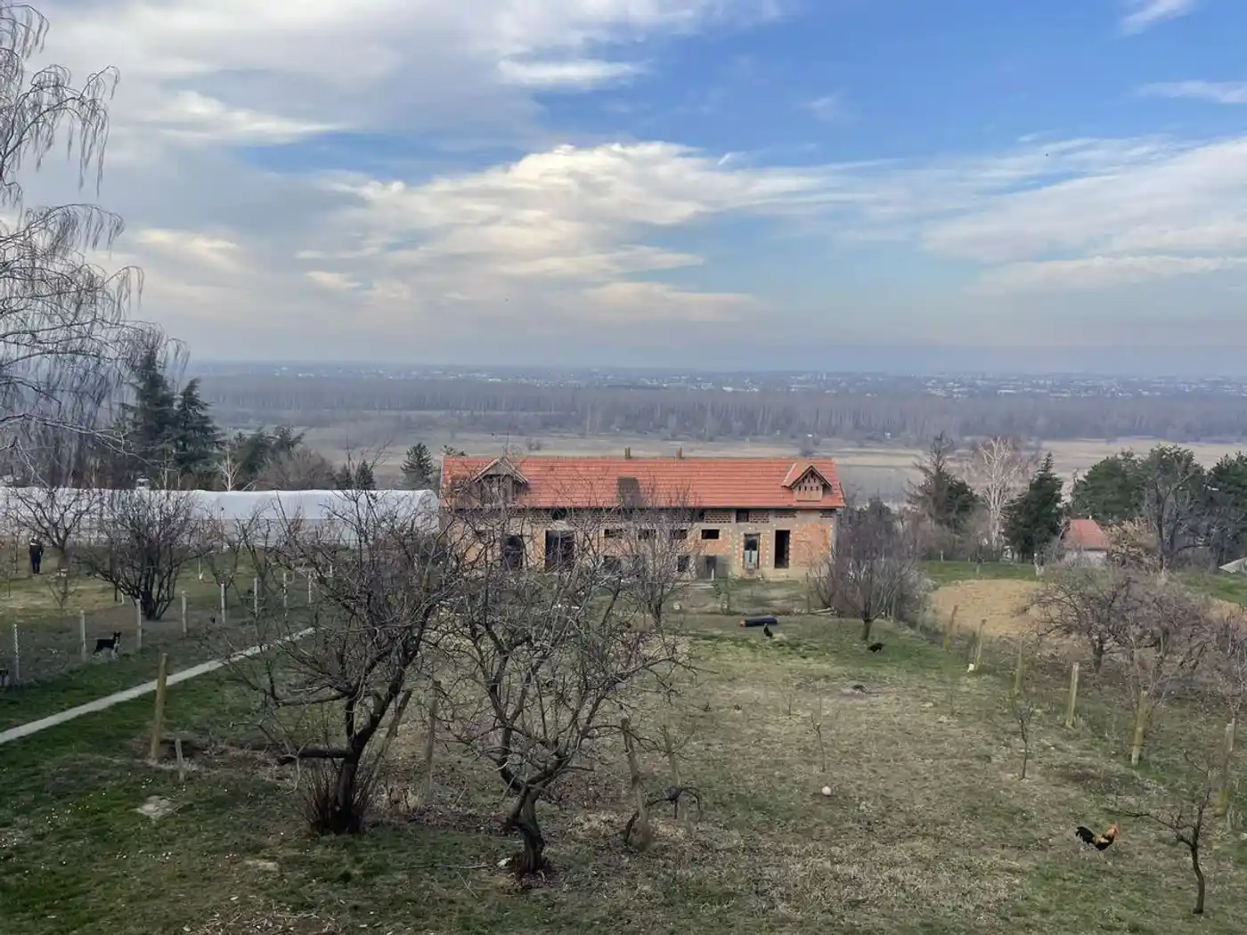 kuca na prodaju Rakovac 296m2 544104