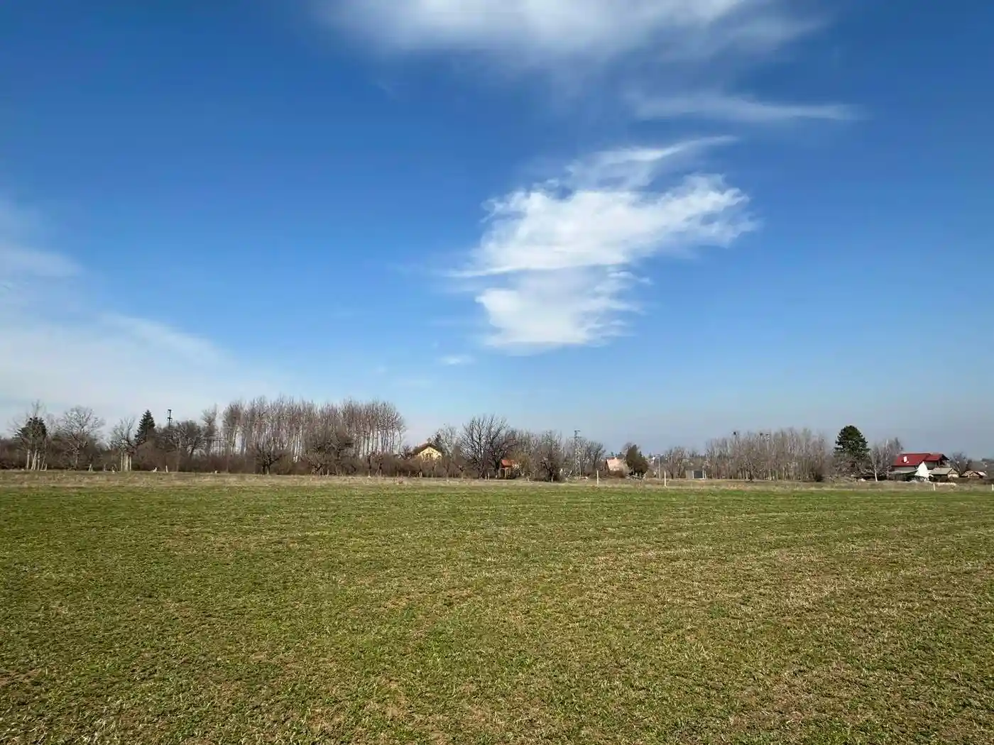 plac na prodaju Čortanovci 1186m2 568666