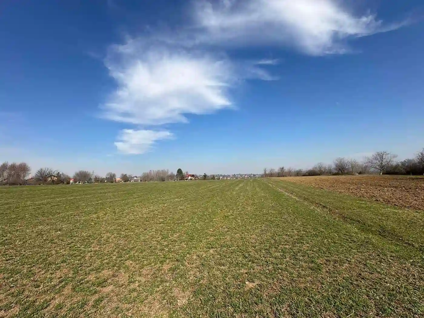 plac na prodaju Čortanovci 1186m2 568666