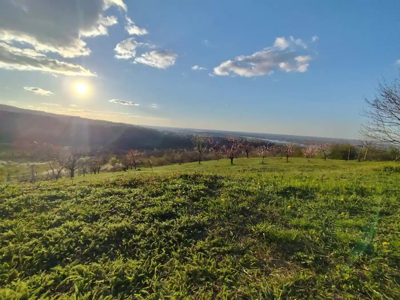 plac na prodaju Ledinci, 2582m2 544360