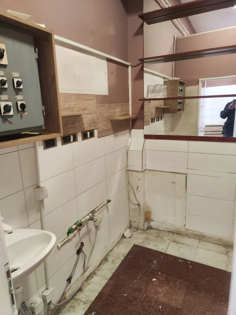 lokal za izdavanje Novi Sad 36m2 12994