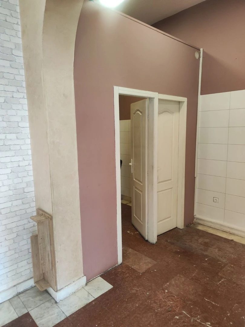 lokal za izdavanje Novi Sad 36m2 12994