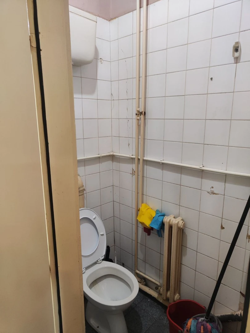 lokal za izdavanje Novi Sad 36m2 12994