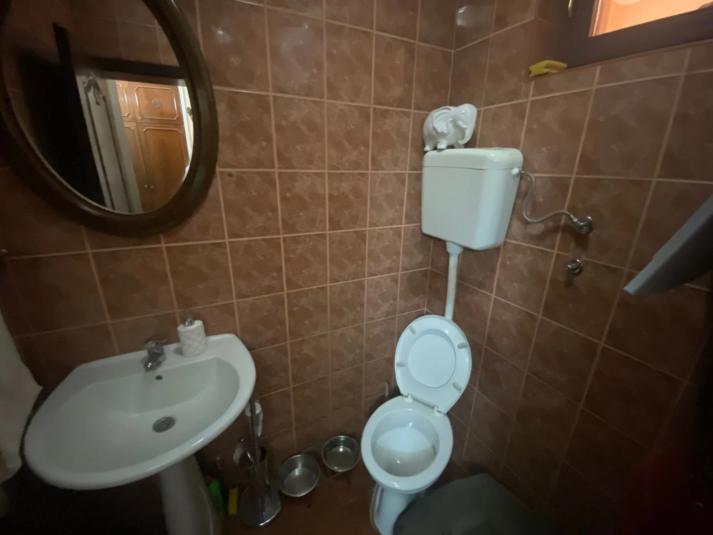 kuca na prodaju Veternik 480m2 545198