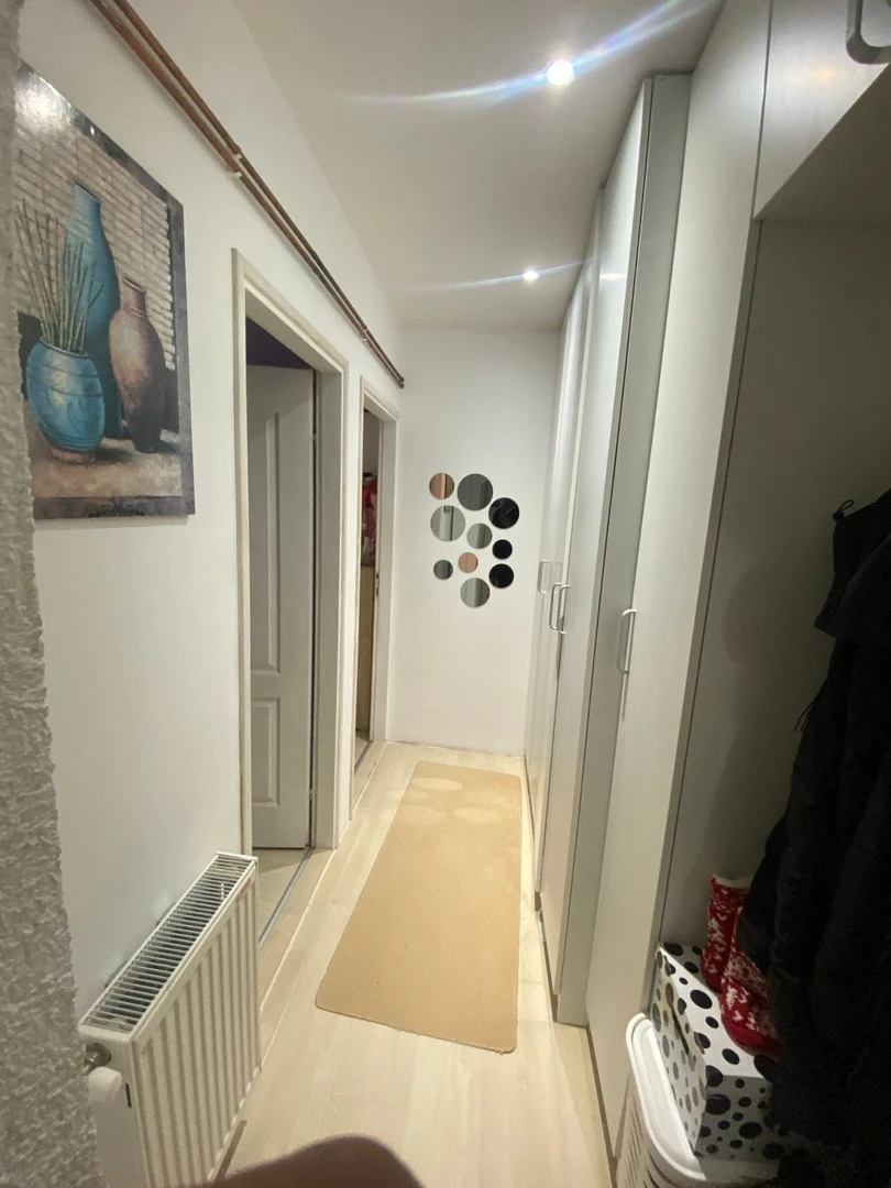 kuca na prodaju Rakovac 140m2 545163