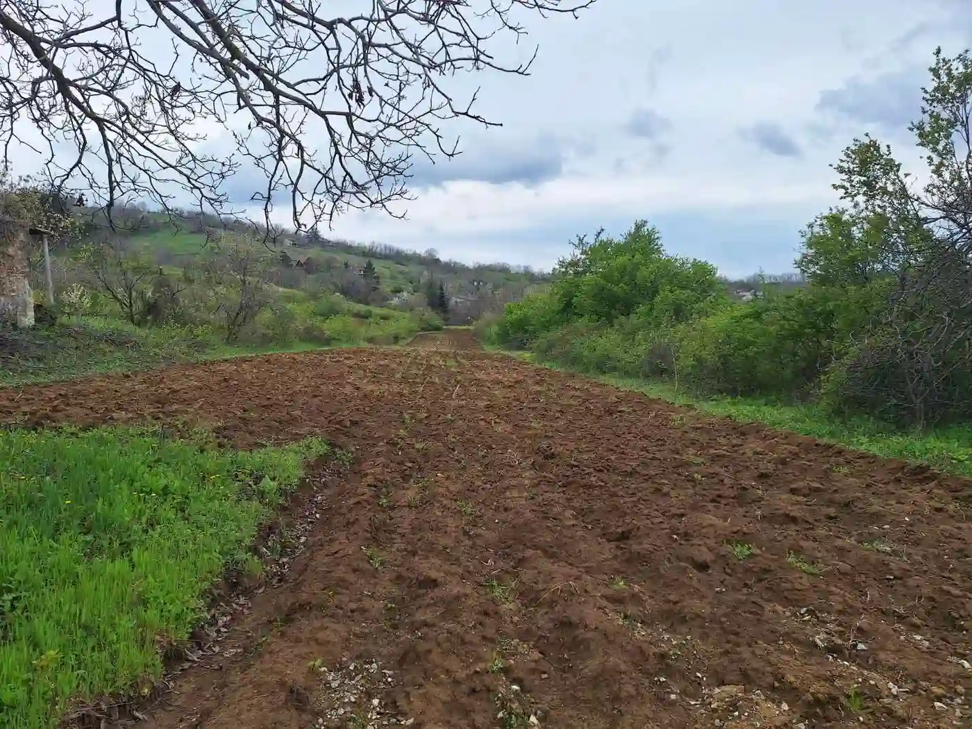 plac na prodaju Ledinci, 2518m2 562126