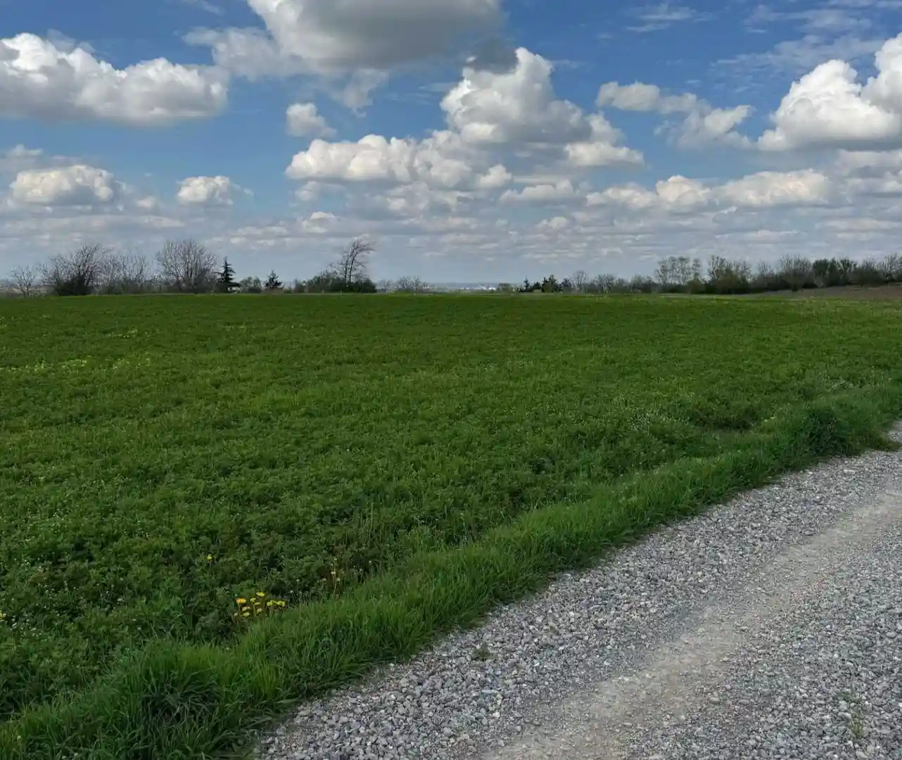 plac na prodaju Petrovaradin 1438m2 545997