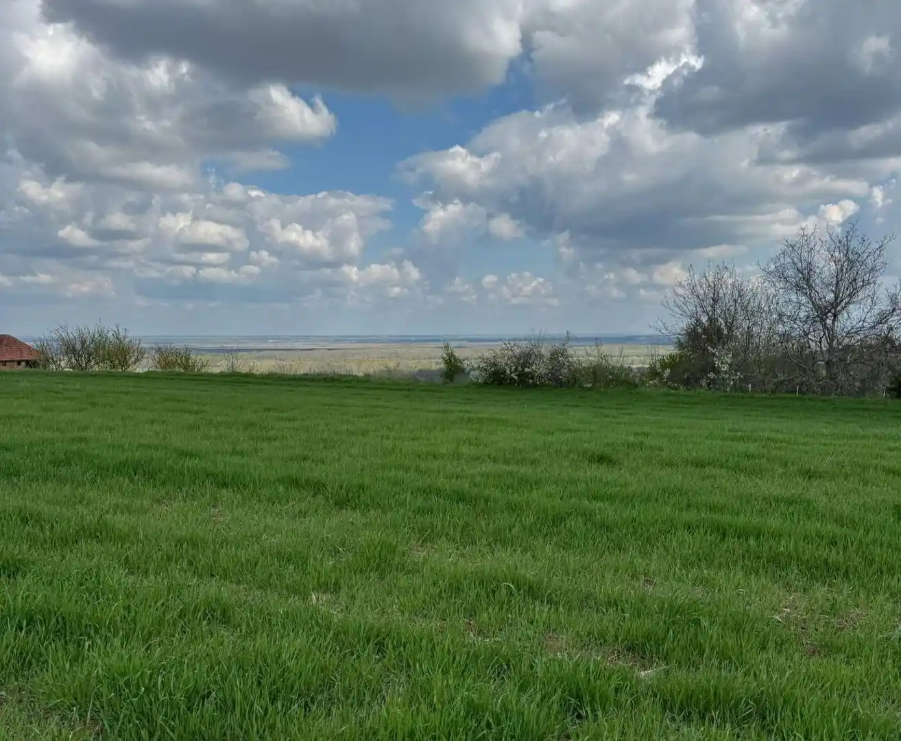 plac na prodaju Petrovaradin 1438m2 545997