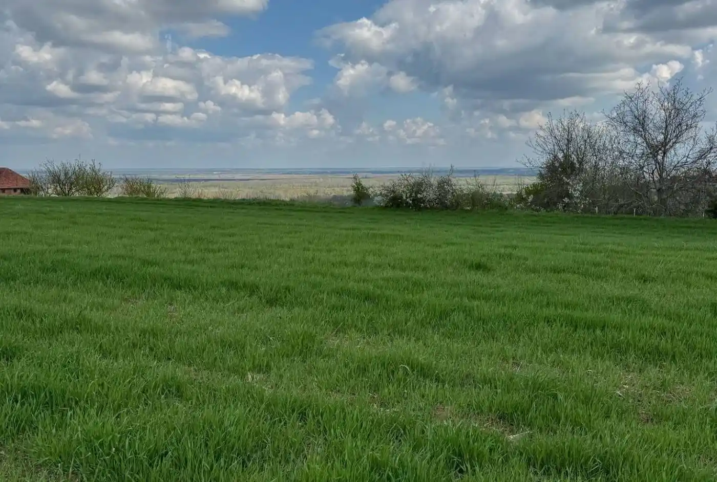 plac na prodaju Petrovaradin 1438m2 545997