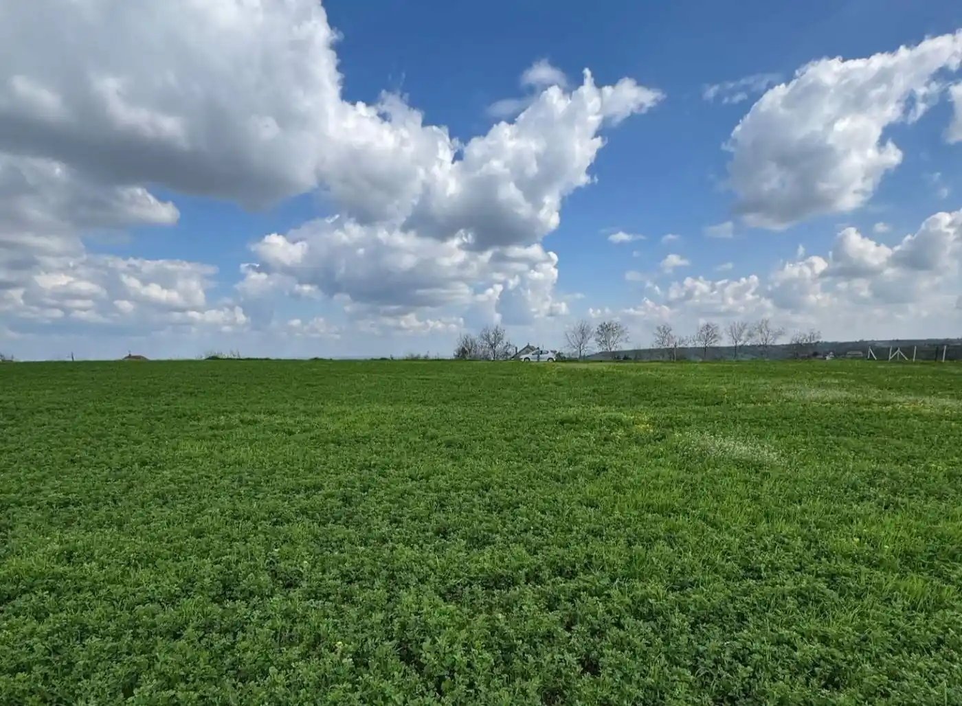plac na prodaju Petrovaradin 1438m2 545997