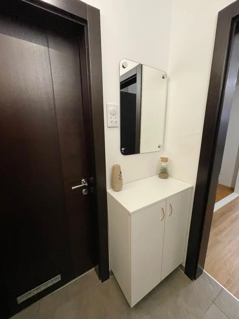 stan na prodaju Novi Sad 36m2 546561