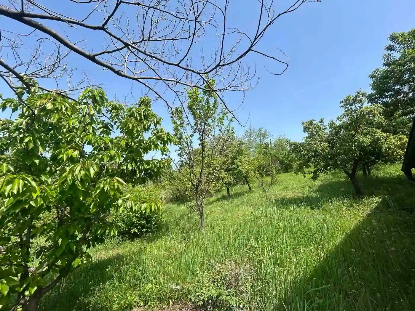 kuca na prodaju Ledinci 41m2 546905