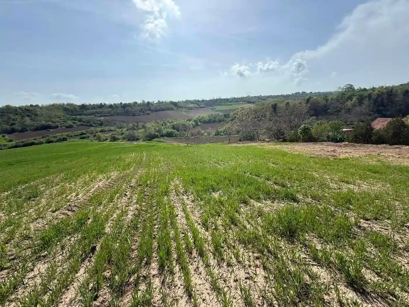 plac na prodaju Maradik 1261m2 546994