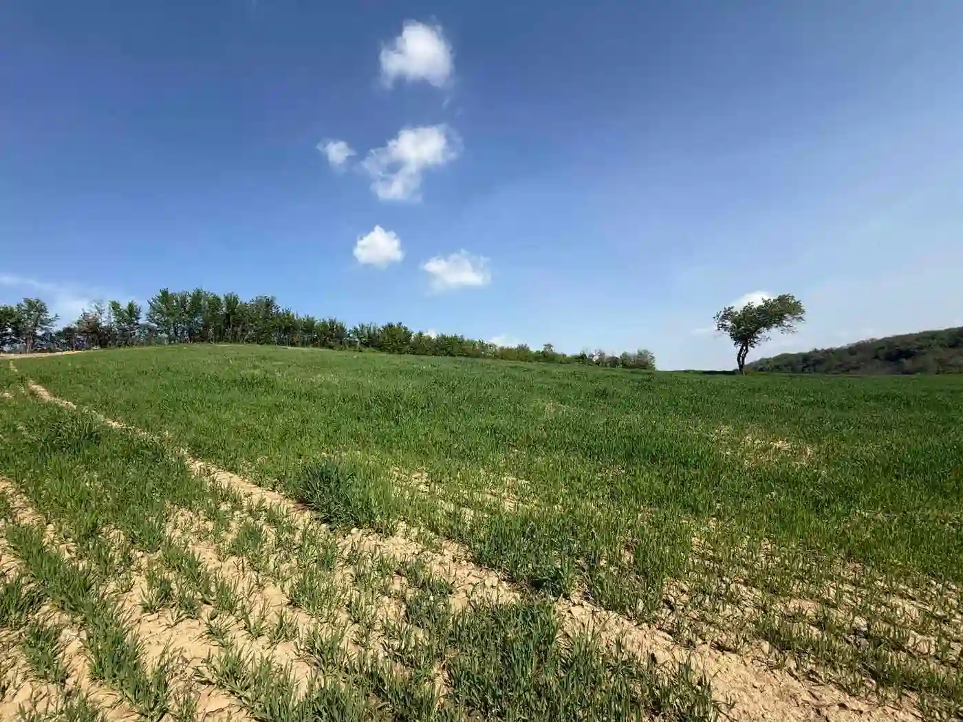 plac na prodaju Maradik 1261m2 546994