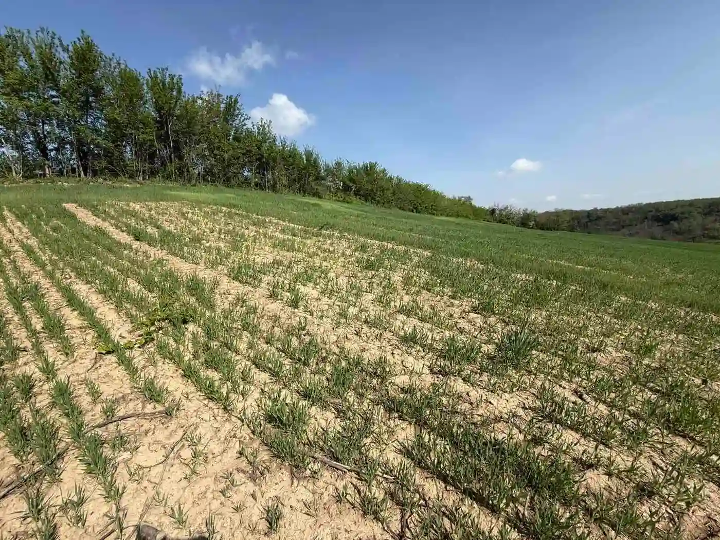 plac na prodaju Maradik 1261m2 546868