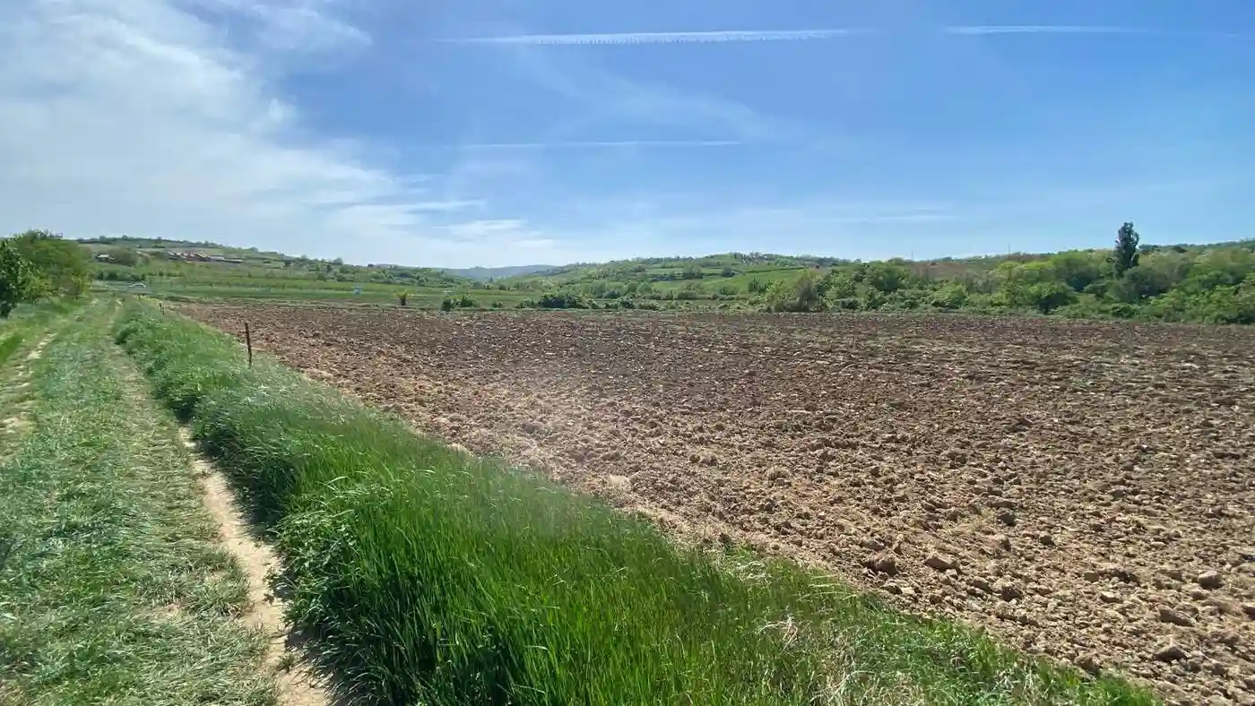 plac na prodaju Sremski Karlovci 23407m2 547012