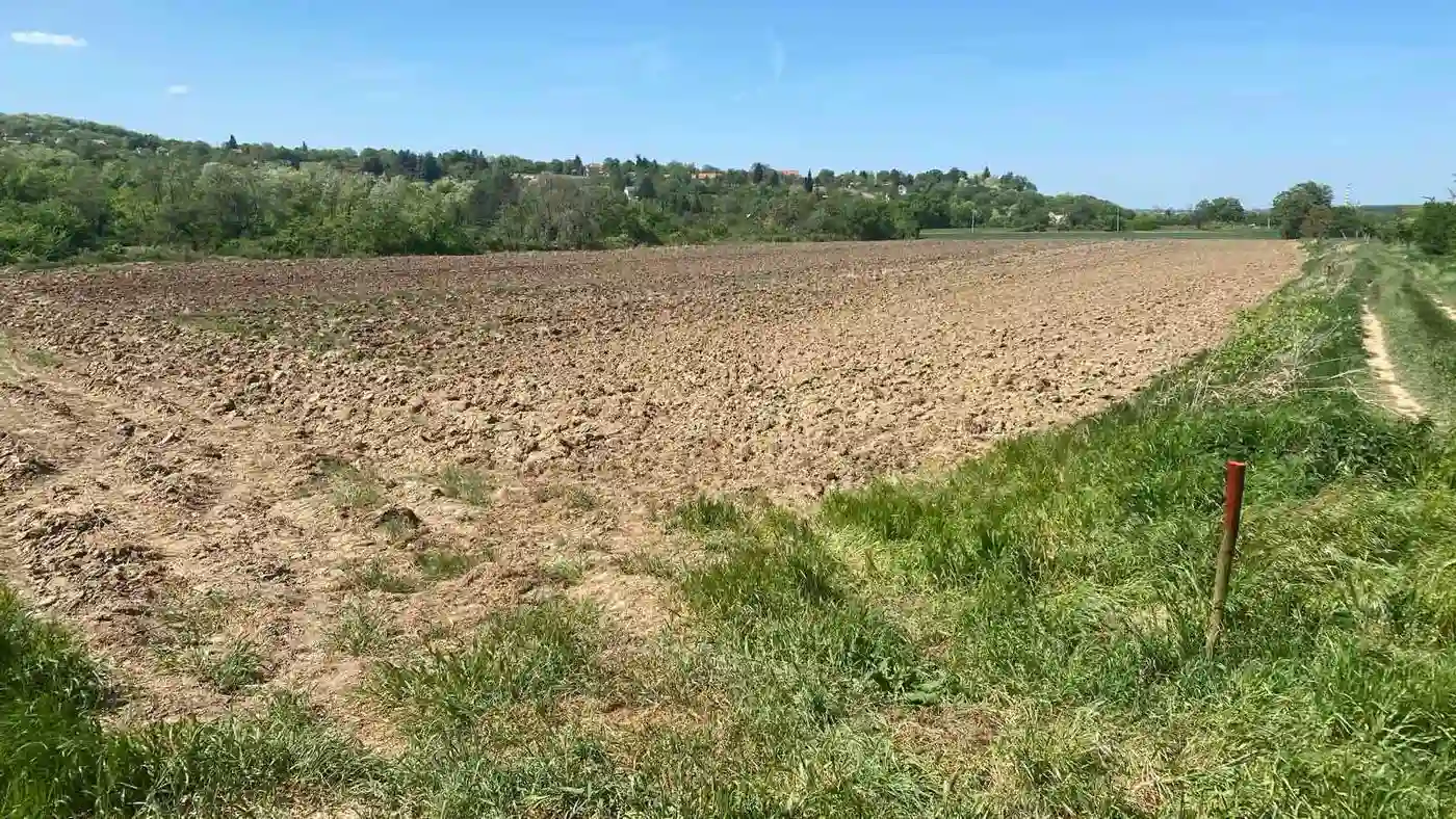 plac na prodaju Sremski Karlovci 23407m2 547012